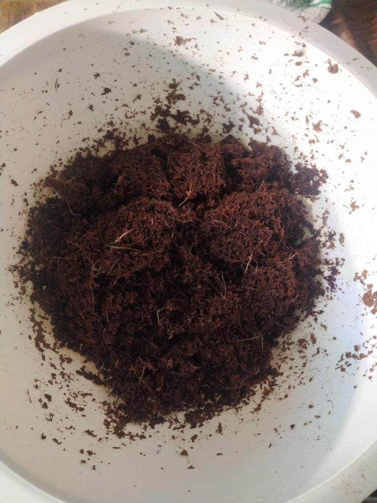 Image #1 from Malwina