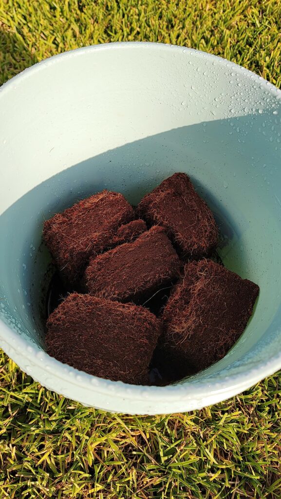 Image #1 from Marzena